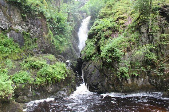 Aira Force